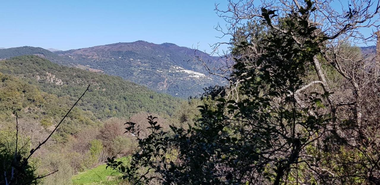 Molino De Santos Villa Benarraba Luaran gambar