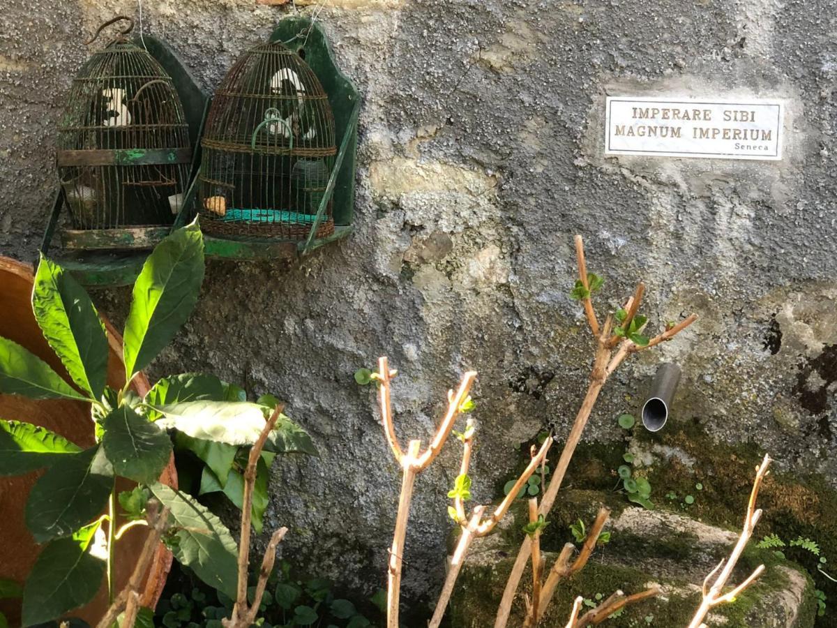 Molino De Santos Villa Benarraba Luaran gambar